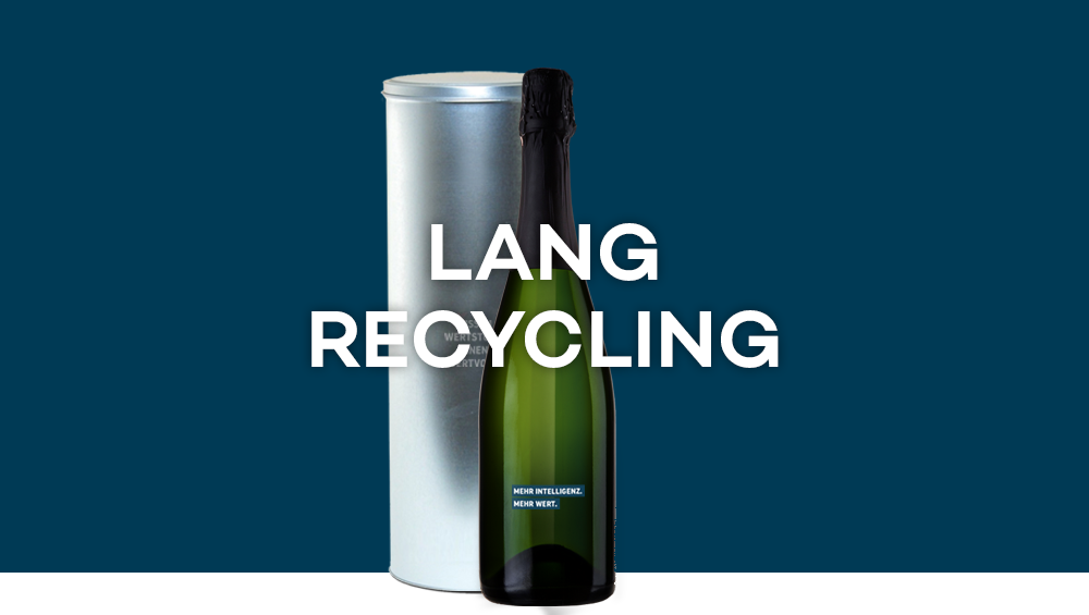 image column 2 widget_1638980289420